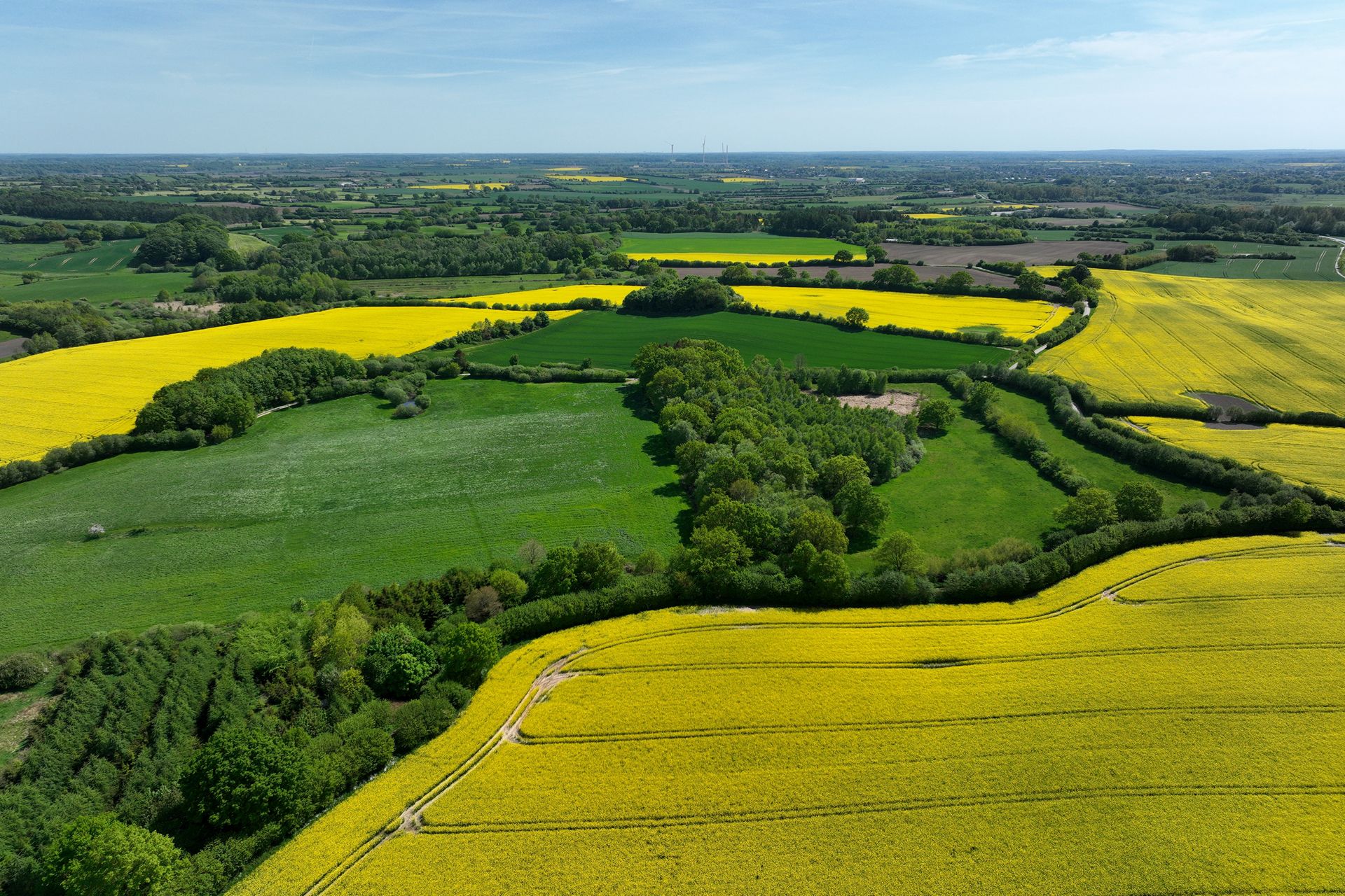 Rapsfelder aus der Luft
